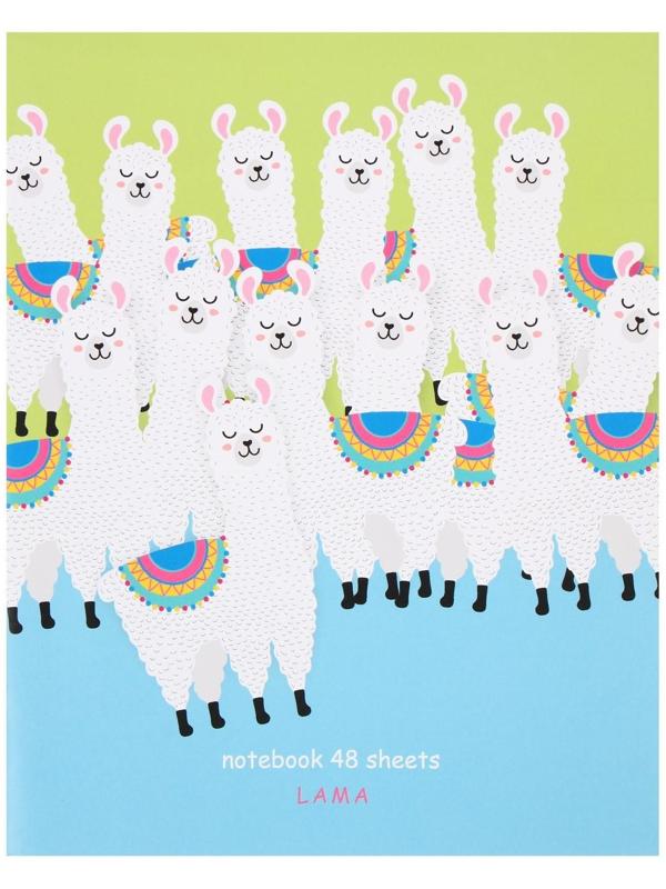 Тетрадь 48 листов, в клетку, 