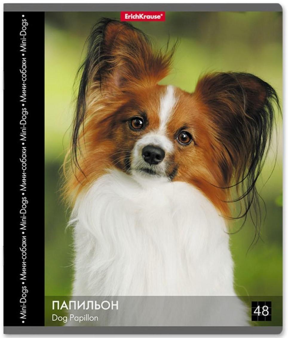 Тетрадь 48 листов в клетку ErichKrause 