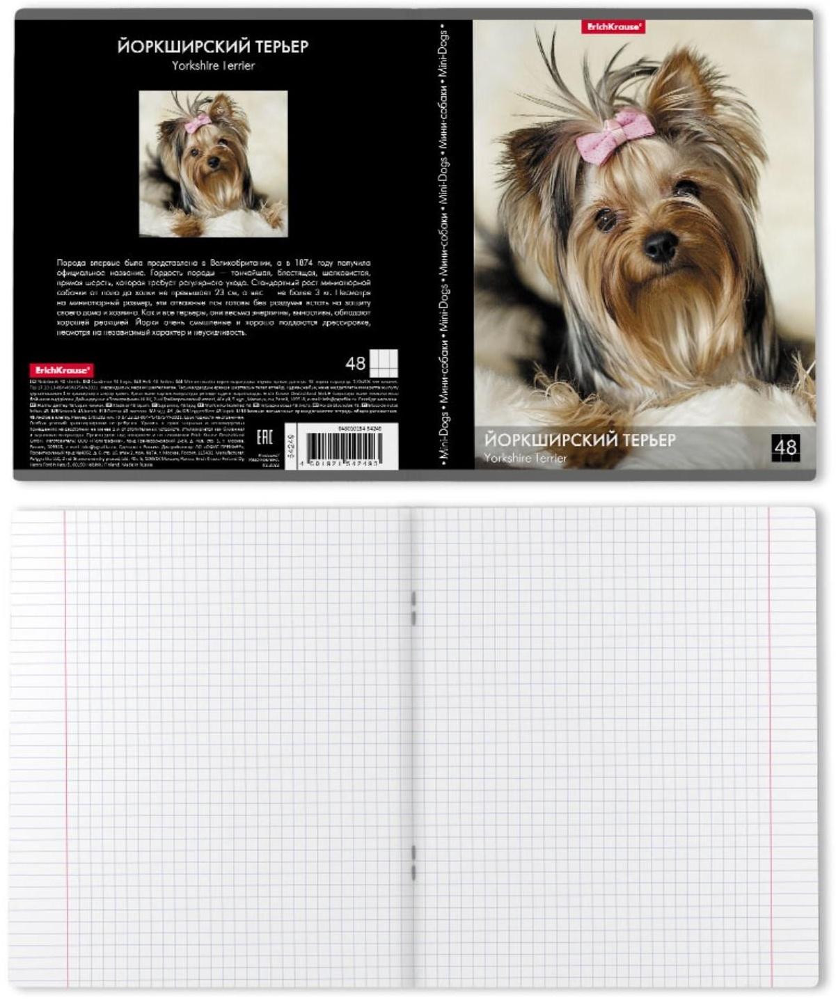 Тетрадь 48 листов в клетку ErichKrause 