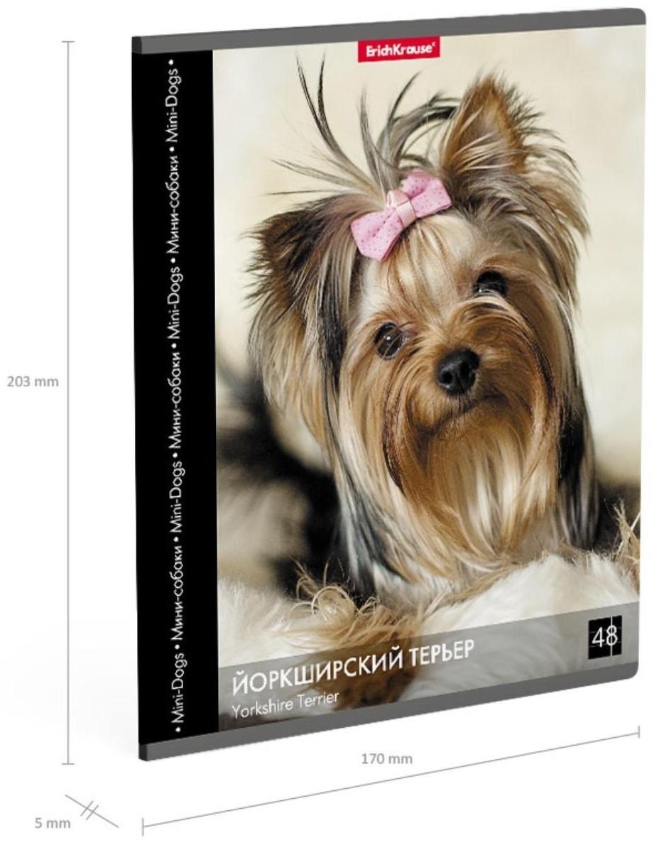 Тетрадь 48 листов в клетку ErichKrause 