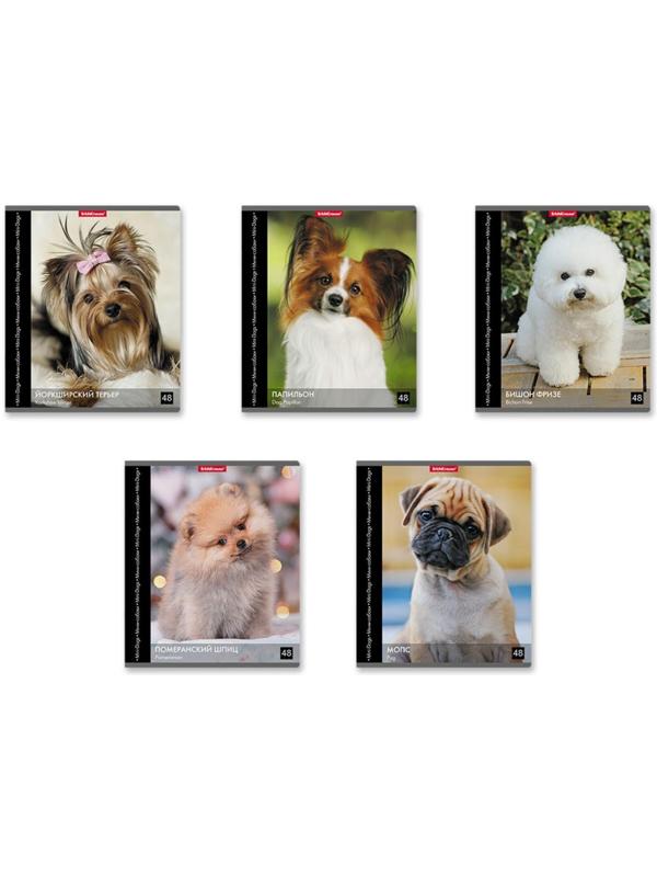 Тетрадь 48 листов в клетку ErichKrause 