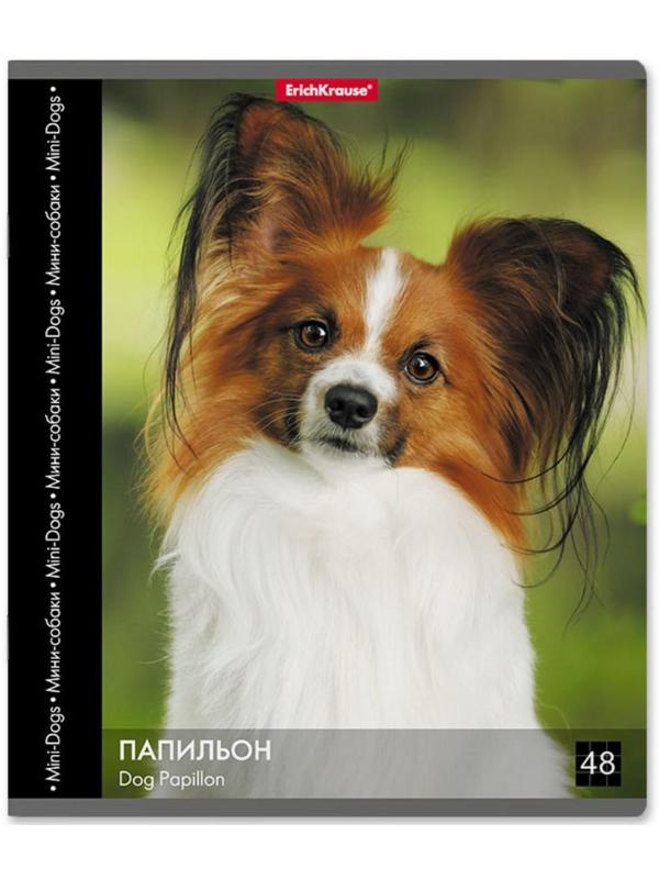 Тетрадь 48 листов в клетку ErichKrause 