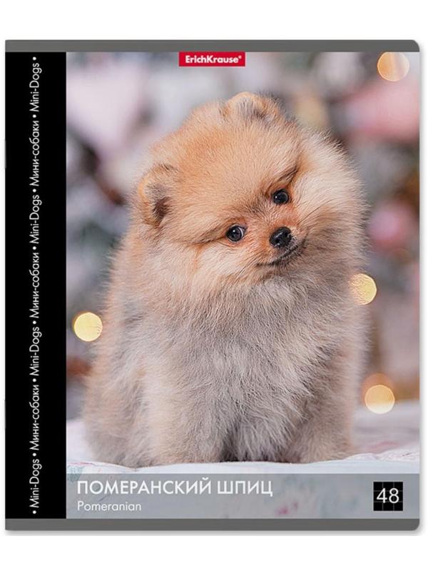 Тетрадь 48 листов в клетку ErichKrause 