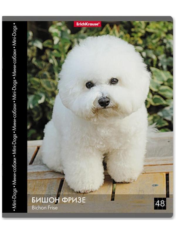 Тетрадь 48 листов в клетку ErichKrause 