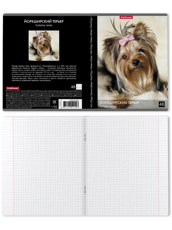 Тетрадь 48 листов в клетку ErichKrause 