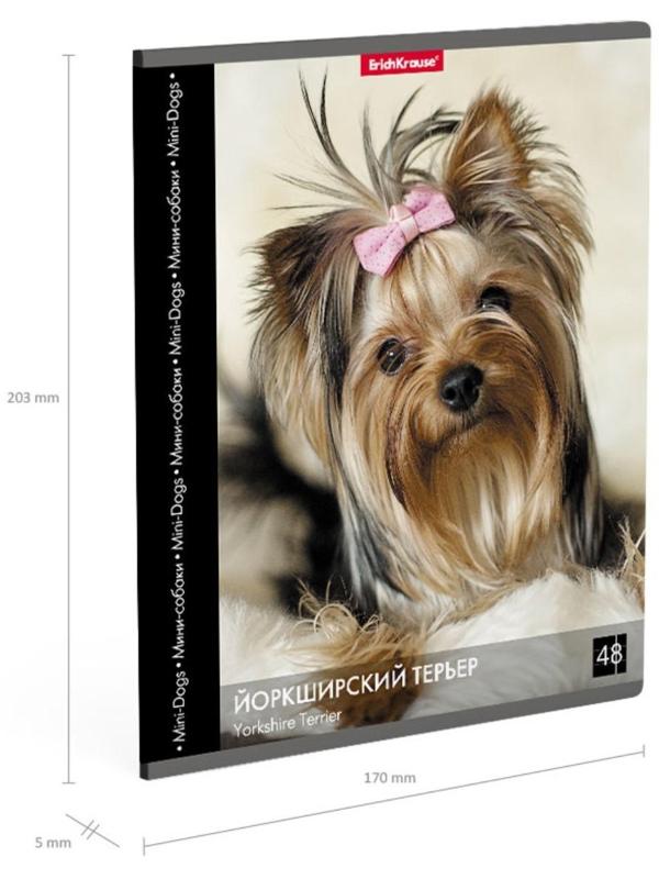 Тетрадь 48 листов в клетку ErichKrause 