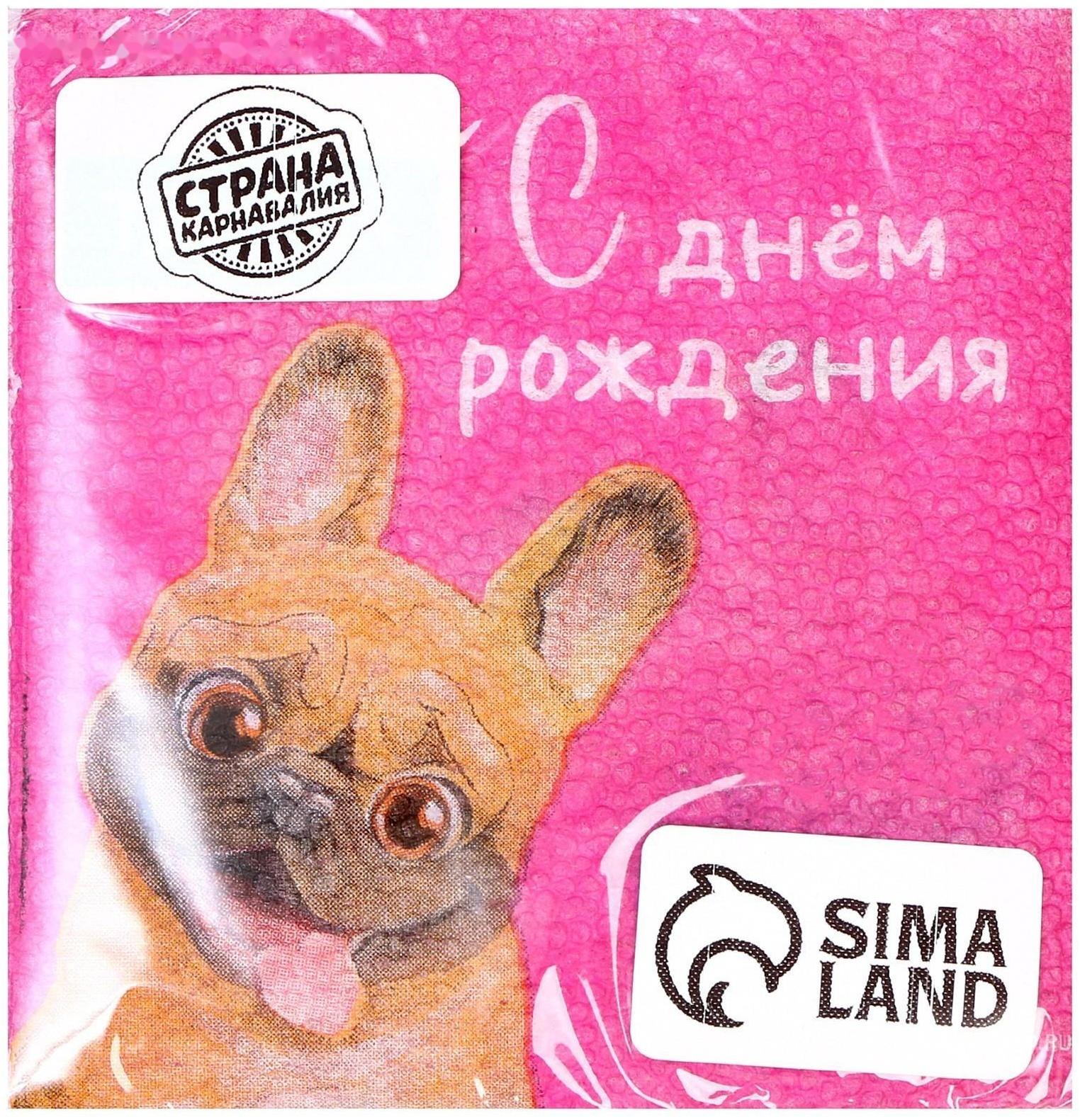 Салфетки бумажные «С Днём Рождения», пёсель, 24 х 24 см, 20 шт