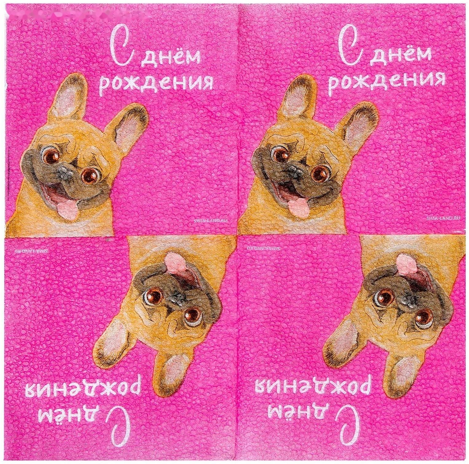 Салфетки бумажные «С Днём Рождения», пёсель, 24 х 24 см, 20 шт