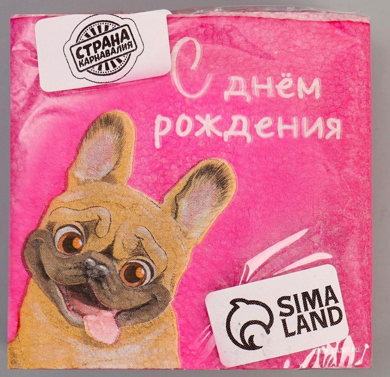 Салфетки бумажные «С Днём Рождения», пёсель, 24 х 24 см, 20 шт