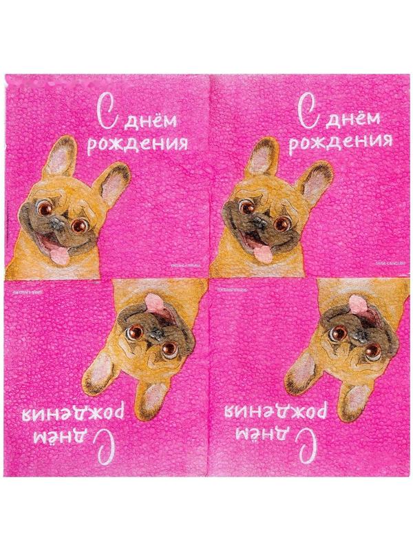 Салфетки бумажные «С Днём Рождения», пёсель, 24 х 24 см, 20 шт