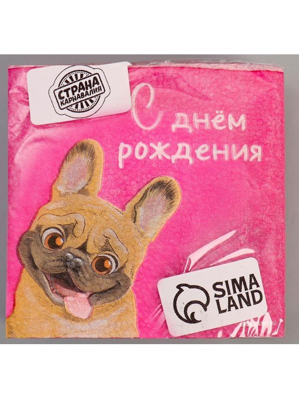 Салфетки бумажные «С Днём Рождения», пёсель, 24 х 24 см, 20 шт