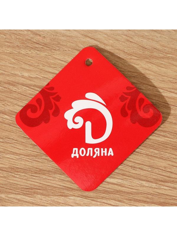 Держатель для полотенец Доляна, на дверцу, цвет чёрный