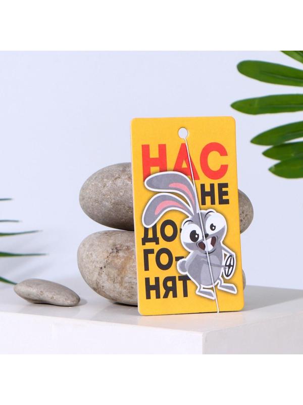 Ароматизатор в авто «Нас не догонят», аромат: цитрус