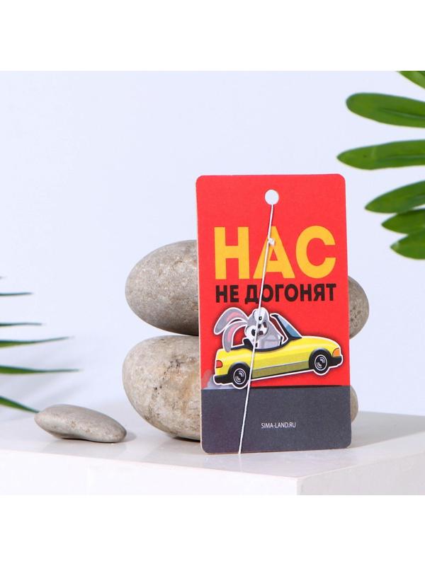 Ароматизатор в авто «Нас не догонят», аромат: цитрус