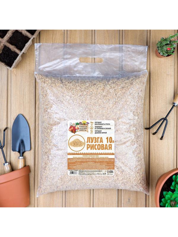 Лузга рисовая 