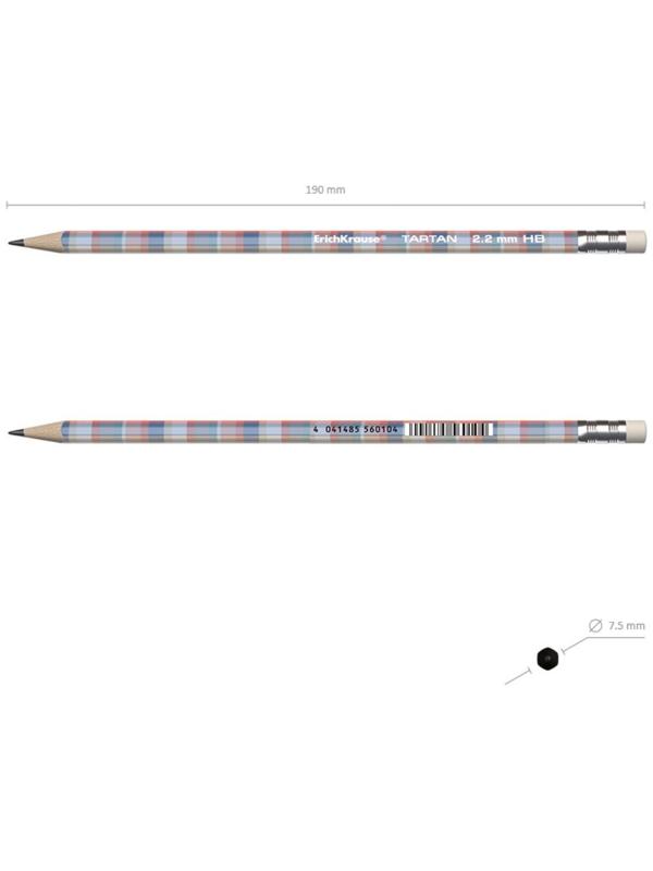 Карандаш чернографитный с ластиком ErichKrause Tartan (простой), HB, грифель d 2.2 мм, трeхгранный, с принтом, из люкс древесины, микс