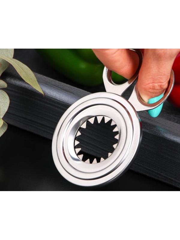 Ножницы для яиц, 10×8×0,7 см, диаметр отверстия 3,3 см, нержавеющая сталь