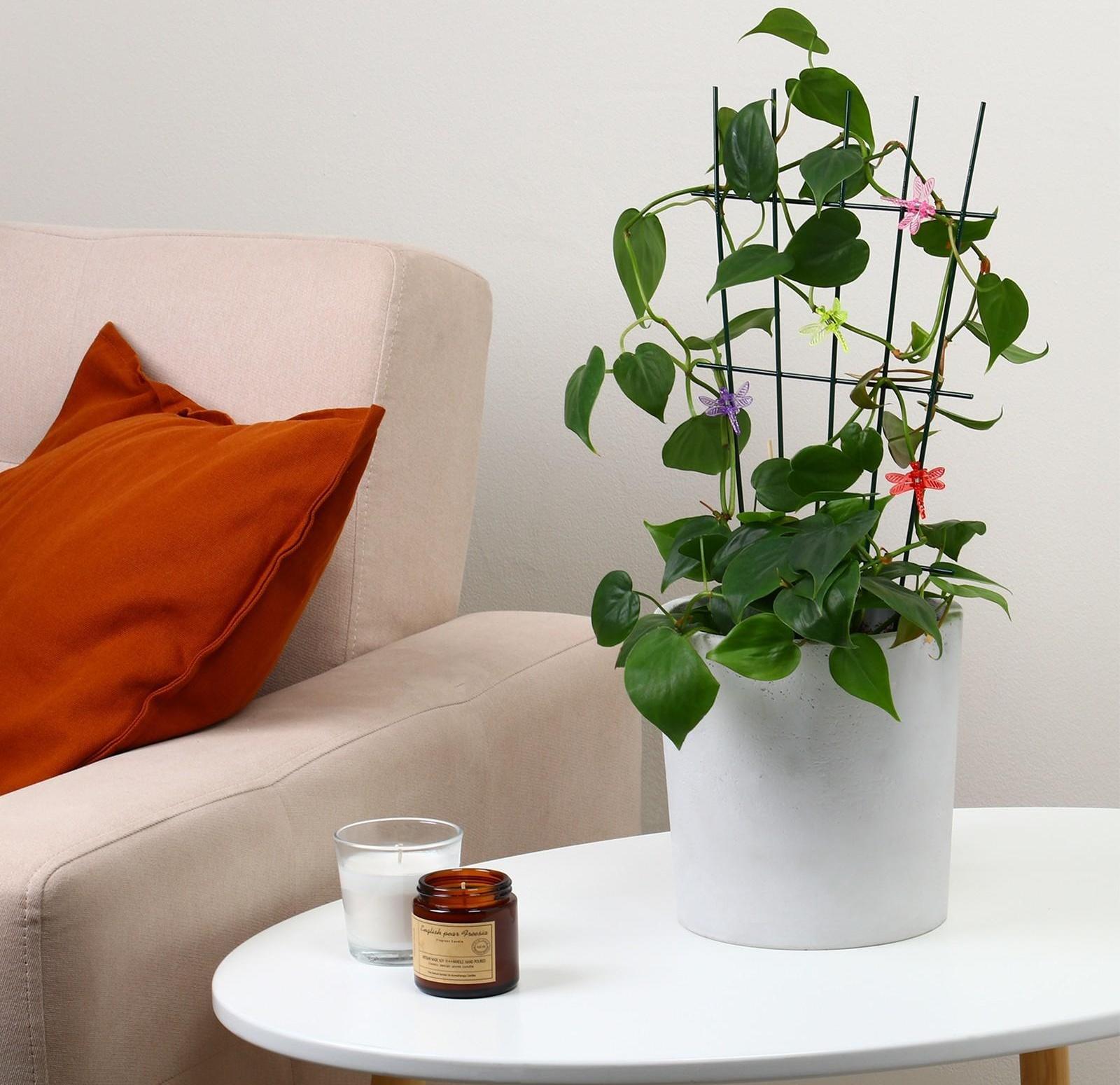 Клипса для растений «Стрекоза», набор 10 шт., МИКС