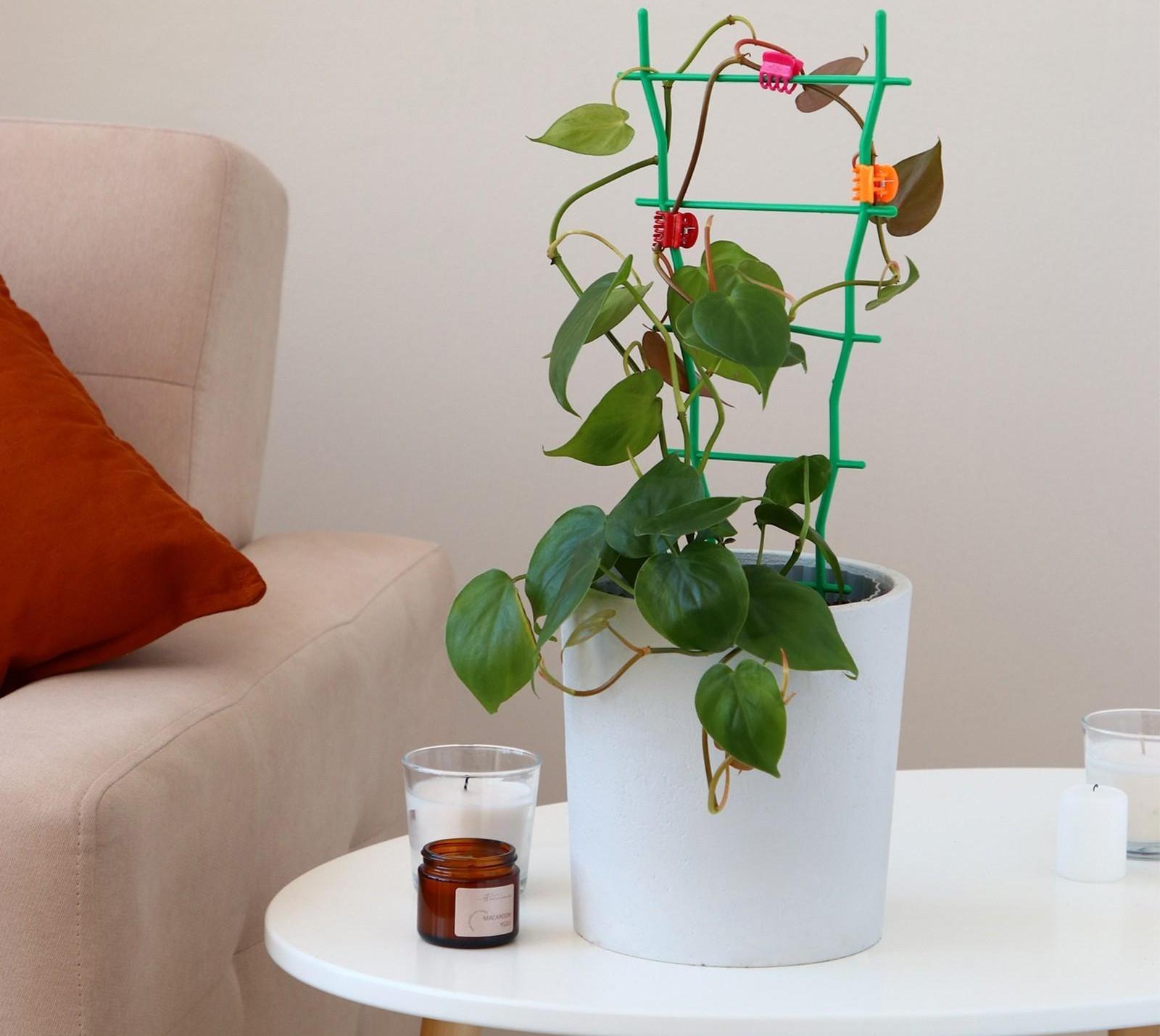 Клипса для растений, набор 10 шт., МИКС