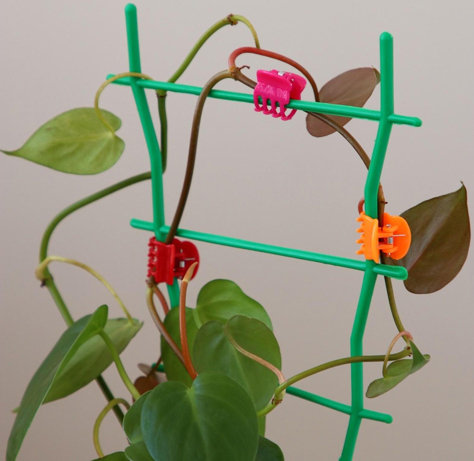 Клипса для растений, набор 10 шт., МИКС