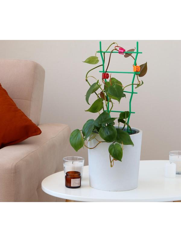 Клипса для растений, набор 10 шт., МИКС