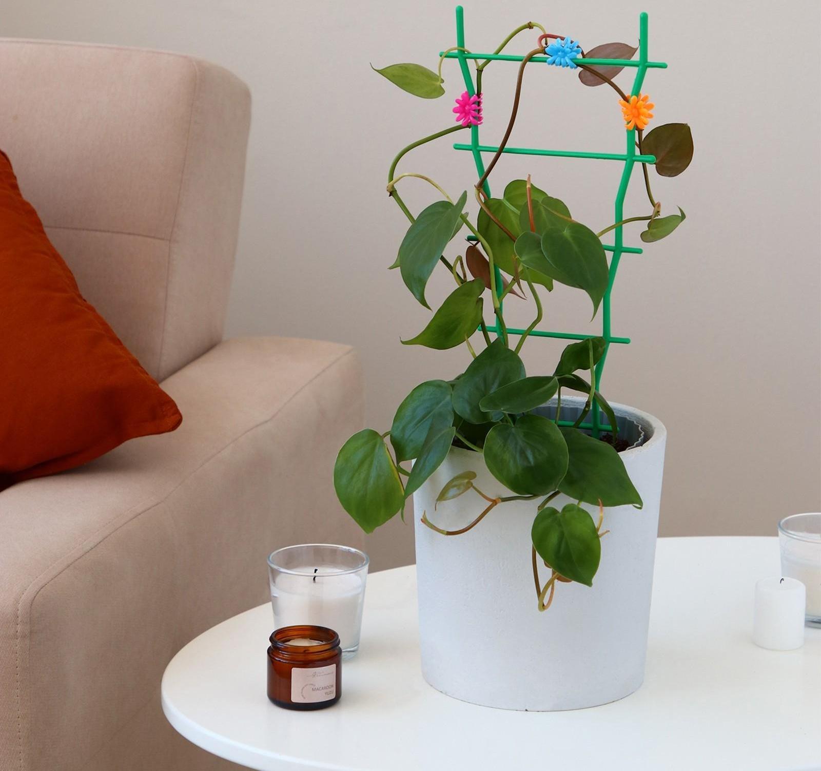 Клипса для растений «Цветок», набор 10 шт., МИКС