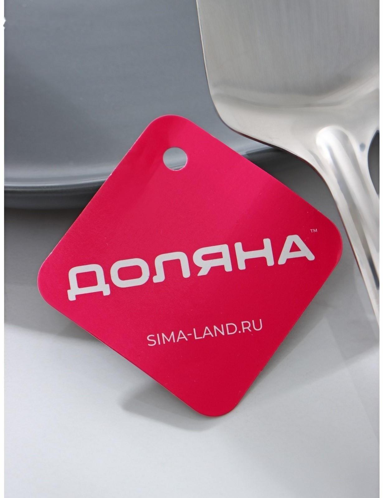 Лопатка из нержавеющей стали Доляна «Виктория», 28,5×5 см, цвет серебряный