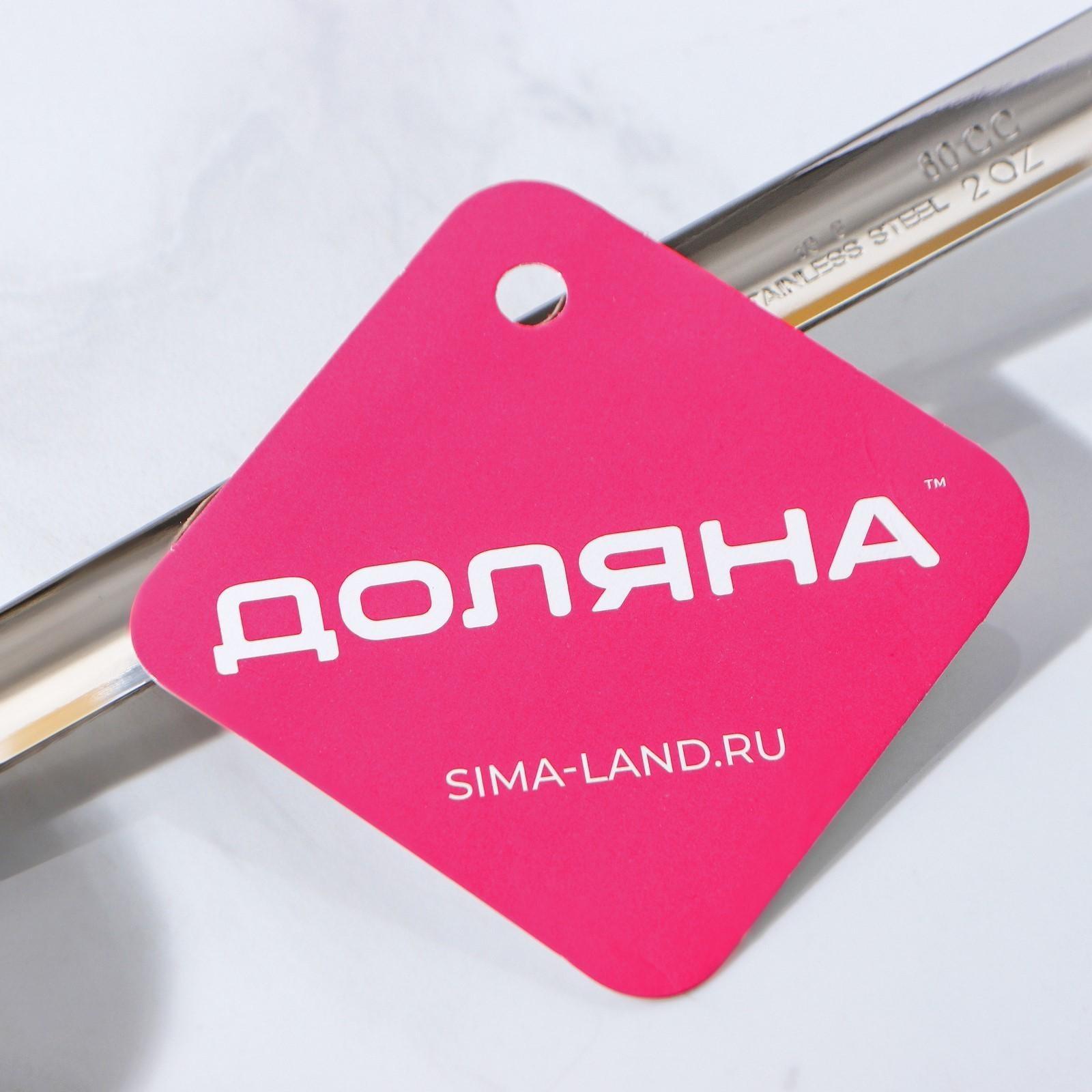 Половник из нержавеющей стали Доляна Everyday, 60 мл, 28×6 см, цвет серебряный