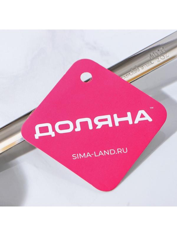 Половник из нержавеющей стали Доляна Everyday, 60 мл, 28×6 см, цвет серебряный