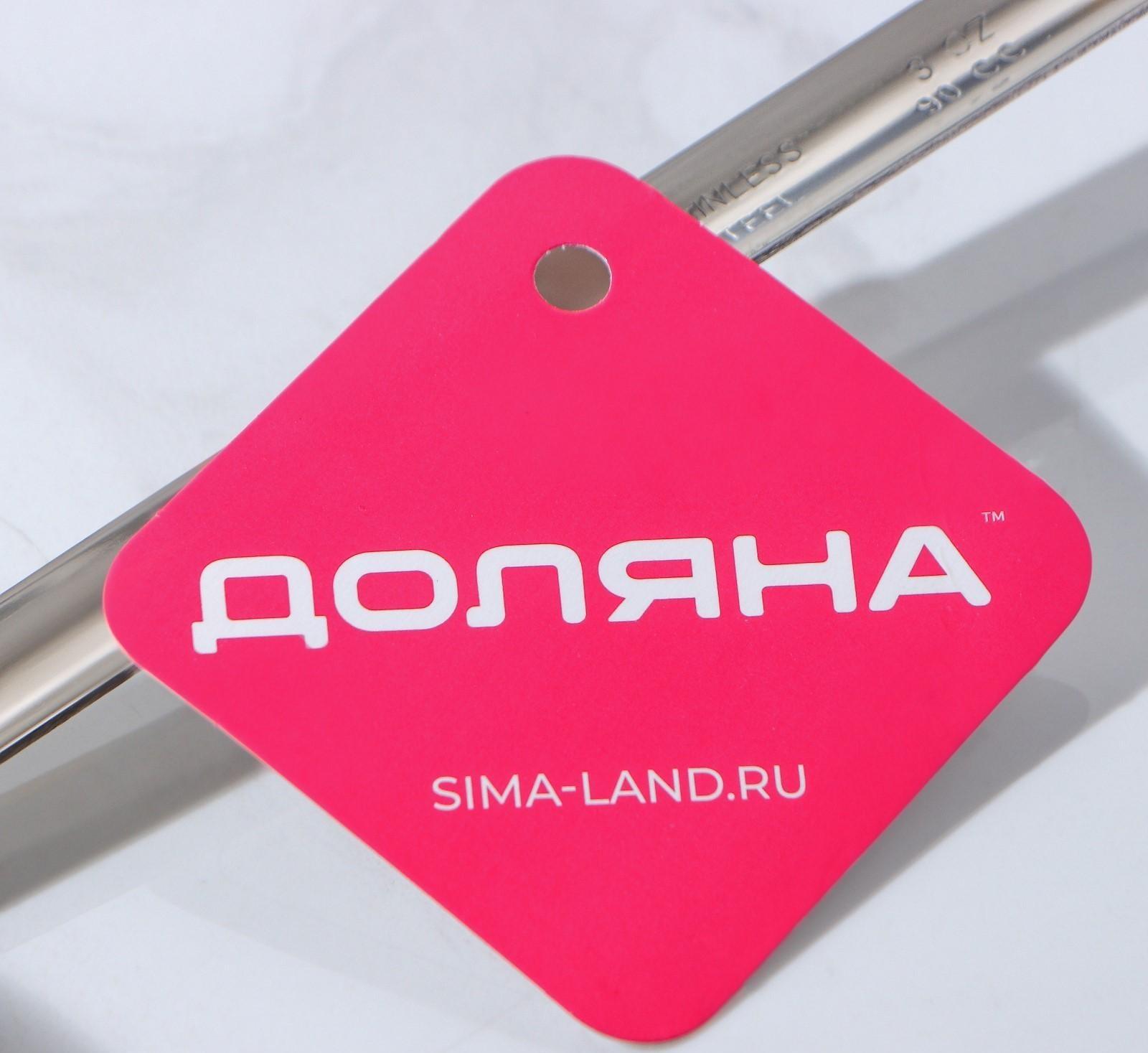 Половник из нержавеющей стали Доляна Everyday, 90 мл, 28×6,5 см, цвет серебряный