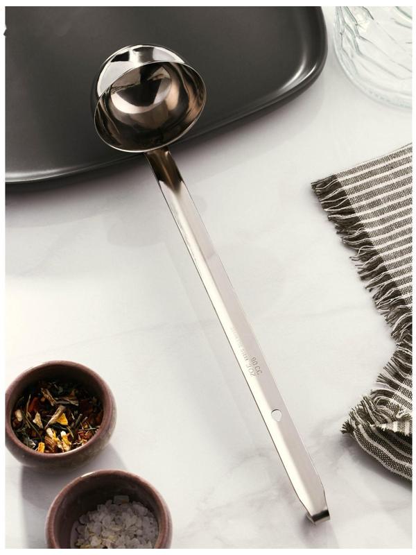 Половник из нержавеющей стали Доляна Everyday, 90 мл, 28×6,5 см, цвет серебряный