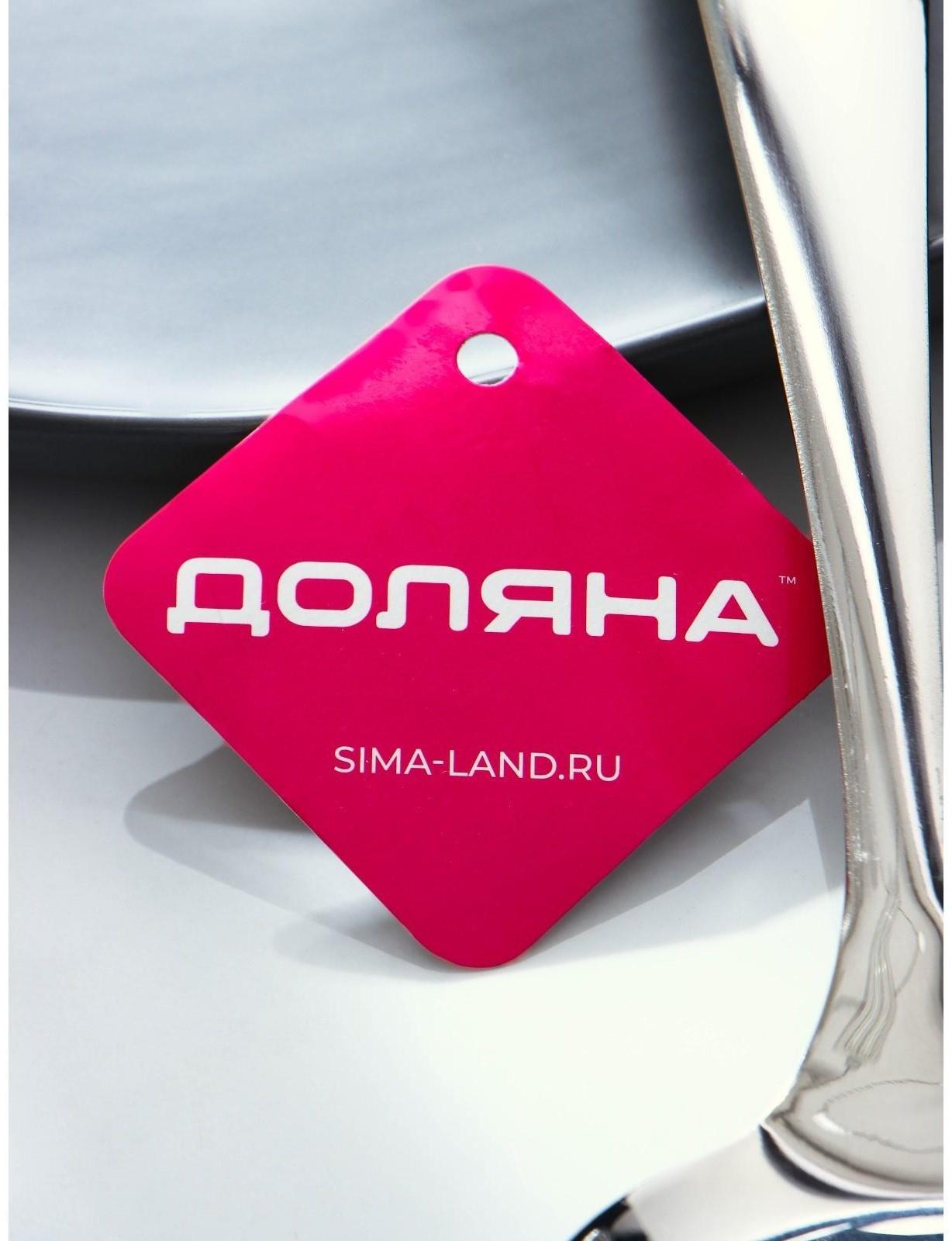 Лопатка из нержавеющей стали Доляна Everyday, 34×8,5 см, толщина 3 мм, цвет серебряный