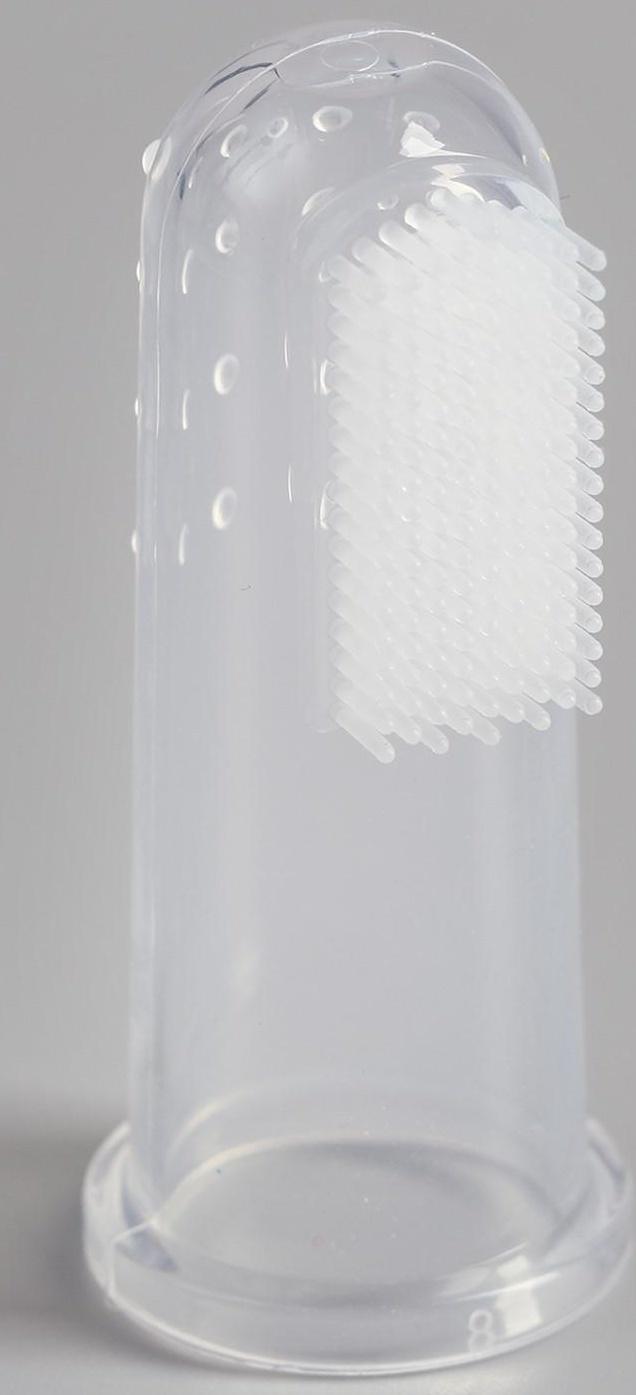 Щётка для чистки зубов животных, 5,5 х 2,5 см, прозрачный контейнер 7 х 4 см