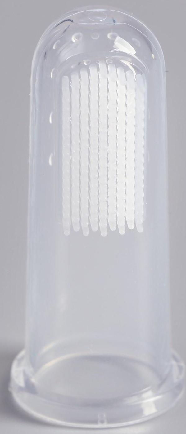 Щётка для чистки зубов животных, 5,5 х 2,5 см, прозрачный контейнер 7 х 4 см