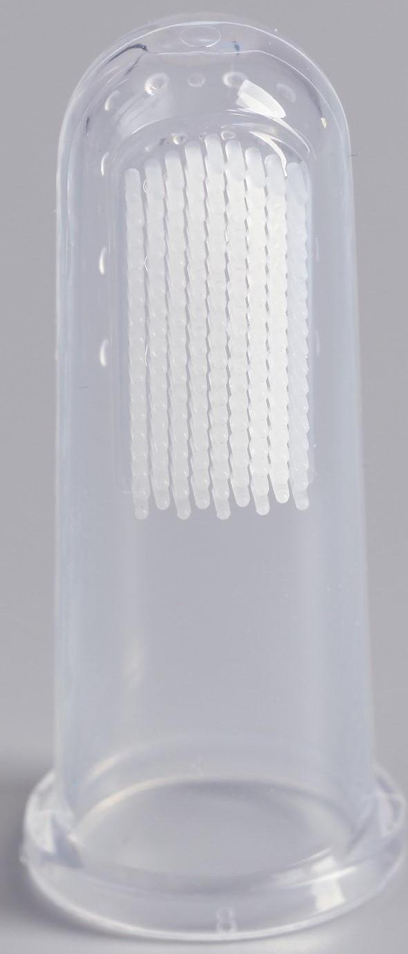 Щётка для чистки зубов животных, 5,5 х 2,5 см, голубой контейнер 7 х 4 см