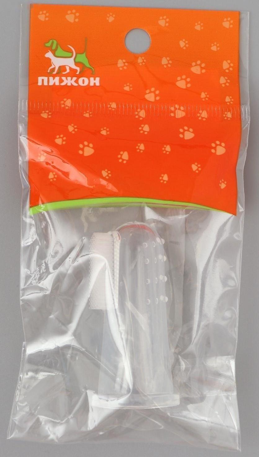 Щётка для чистки зубов животных, 5,5 х 2,5 см, голубой контейнер 7 х 4 см