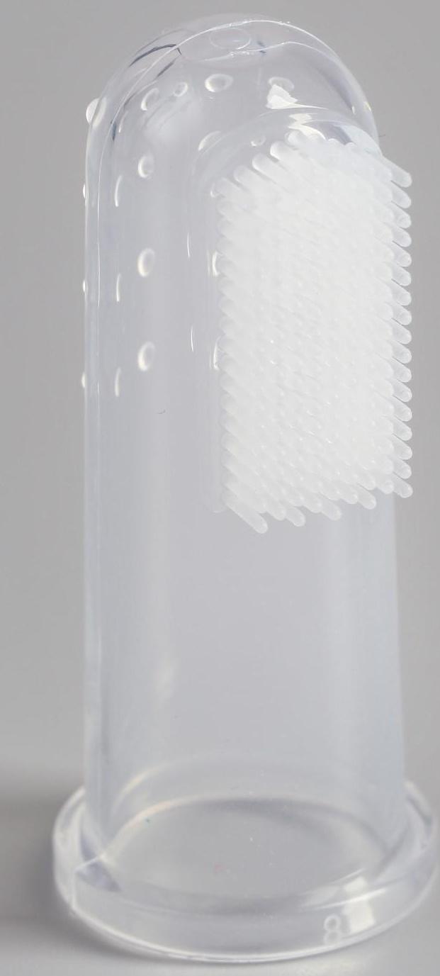 Щётка для чистки зубов животных, 5,5 х 2,5 см, голубой контейнер 7 х 4 см