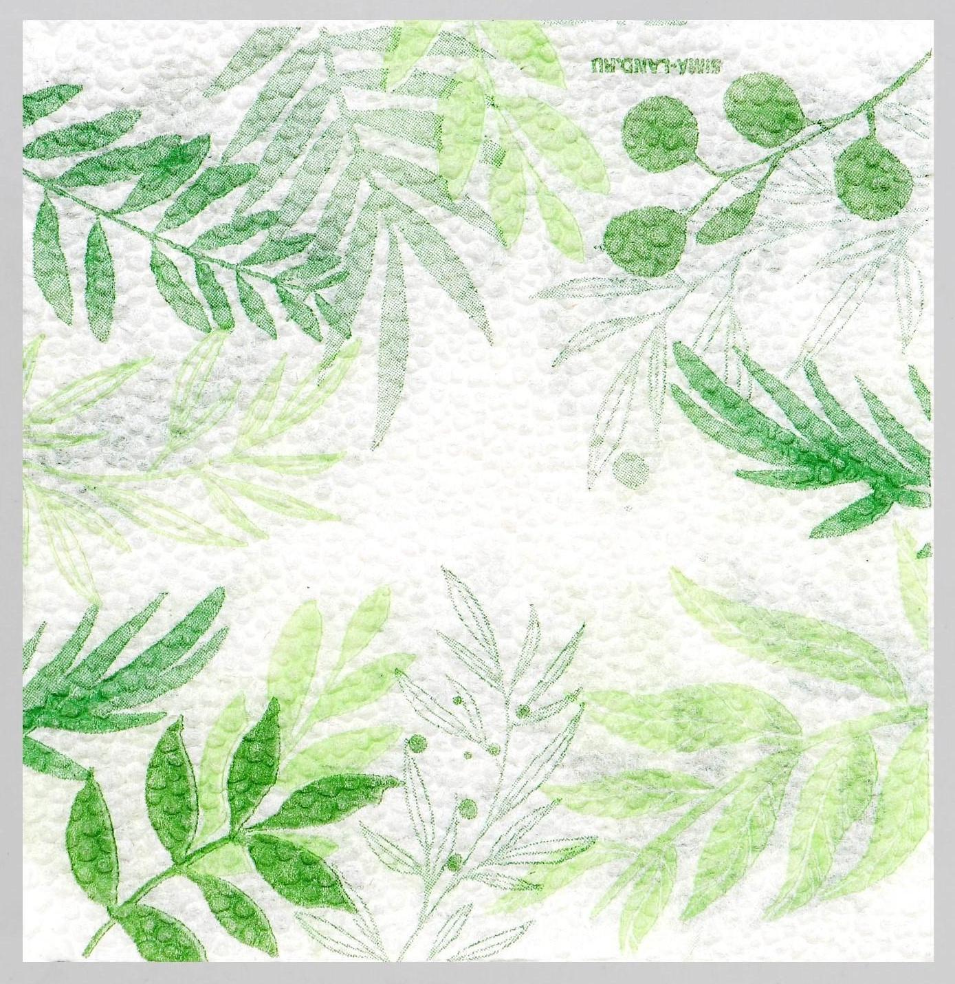 Салфетки бумажные «Узоры природы», 24х24 см, 20 шт