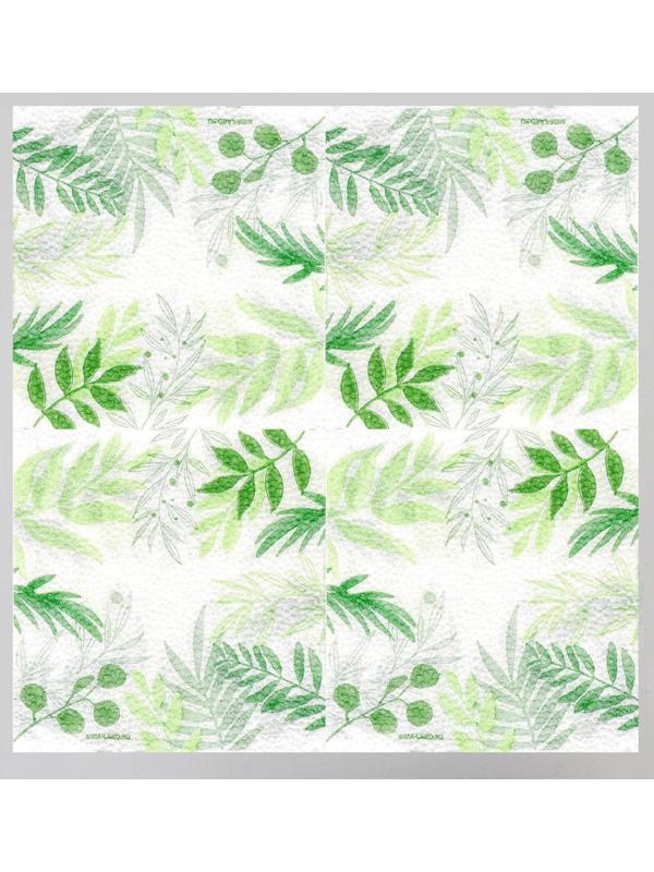 Салфетки бумажные «Узоры природы», 24х24 см, 20 шт