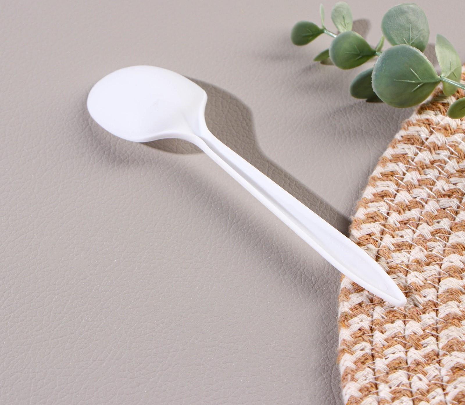 Ложка столовая одноразовая «БИО ЭКО стандарт S», цвет МИКС