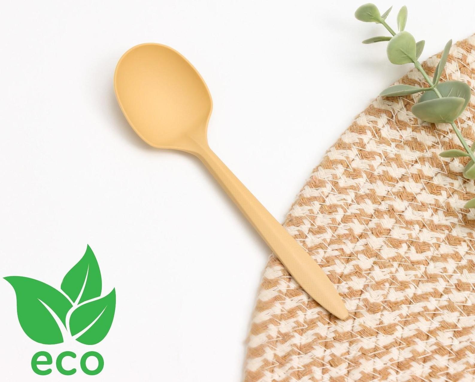 Ложка столовая одноразовая «БИО ЭКО стандарт S», цвет МИКС