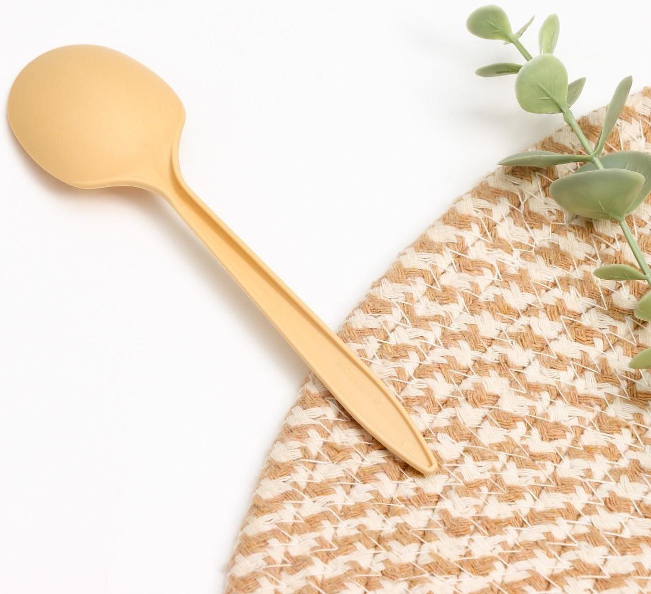 Ложка столовая одноразовая «БИО ЭКО стандарт S», цвет МИКС