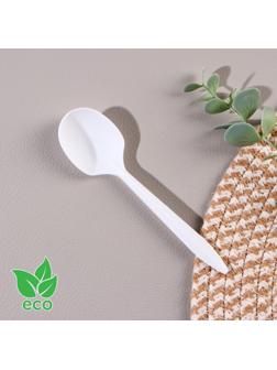 Ложка столовая одноразовая «БИО ЭКО стандарт S», цвет МИКС