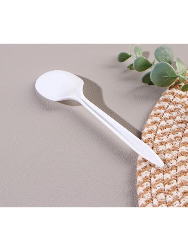 Ложка столовая одноразовая «БИО ЭКО стандарт S», цвет МИКС