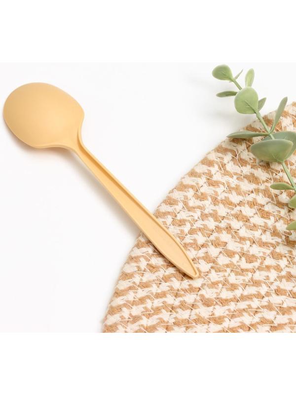 Ложка столовая одноразовая «БИО ЭКО стандарт S», цвет МИКС