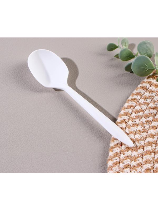 Ложка столовая одноразовая «БИО ЭКО стандарт S», цвет МИКС