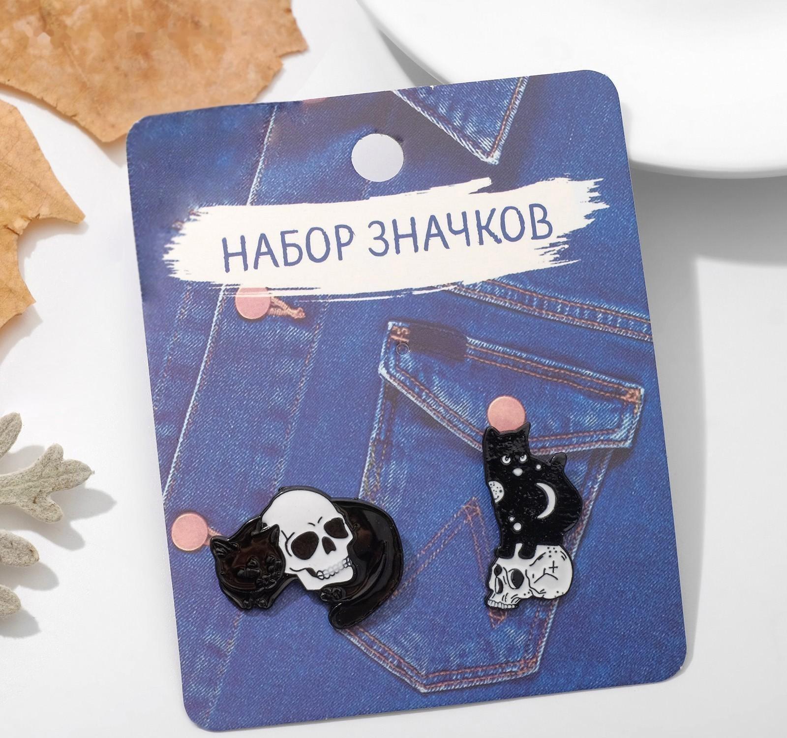 Набор значков (2шт) 