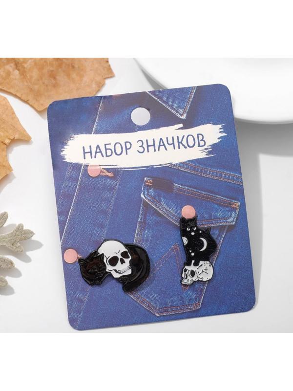 Набор значков (2шт) 