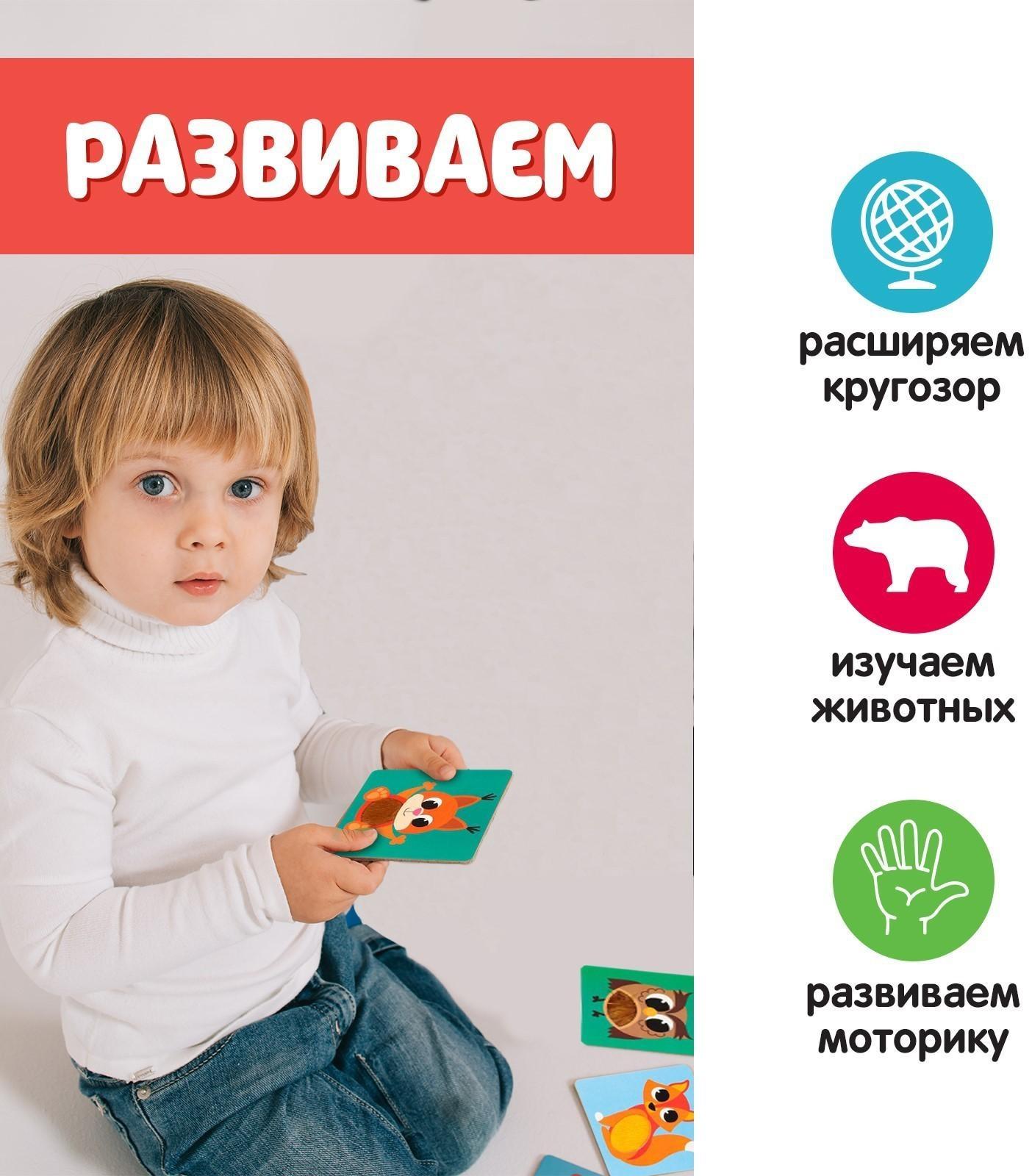 Развивающий набор «Животные леса», тактильные карточки