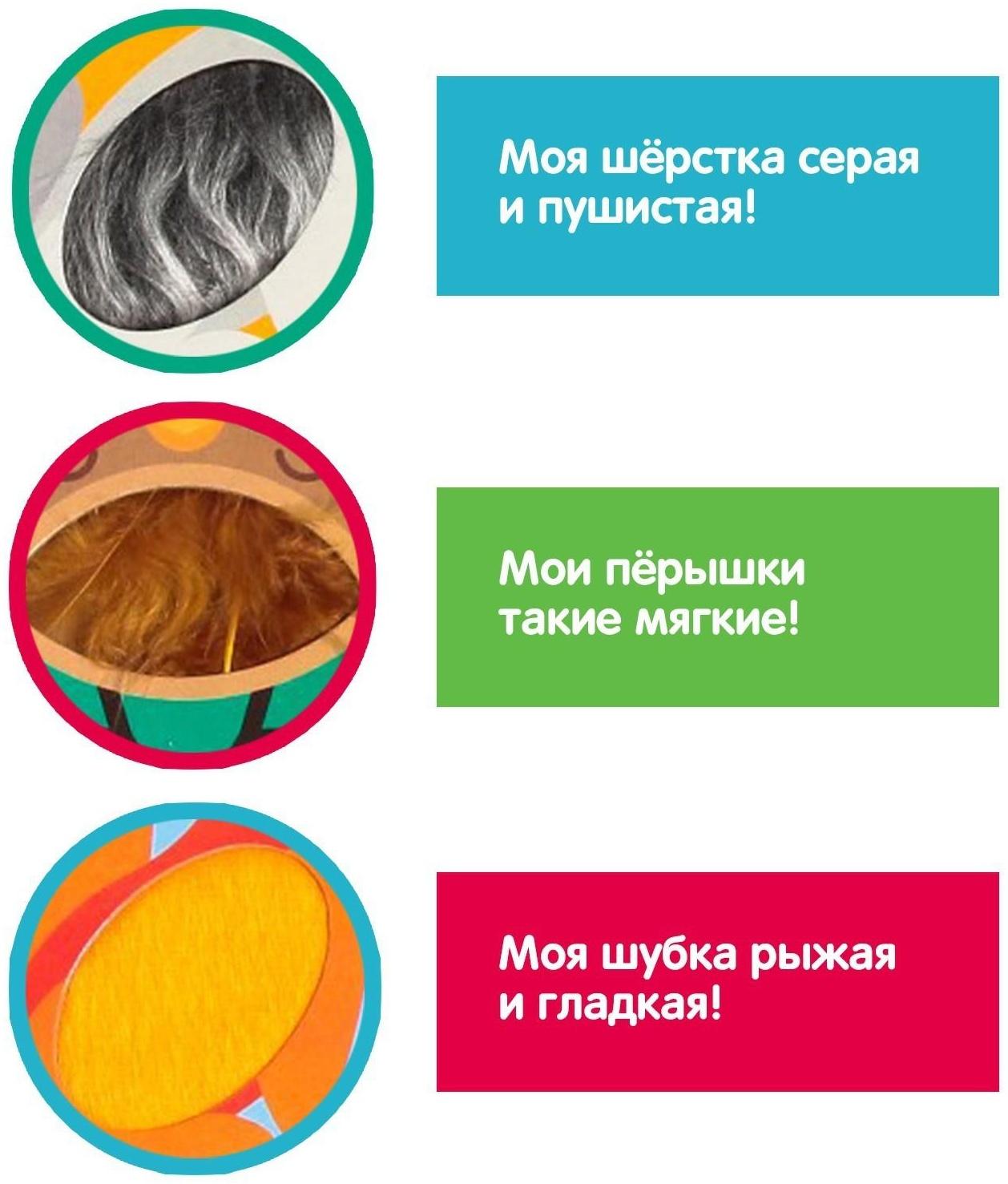 Развивающий набор «Животные леса», тактильные карточки